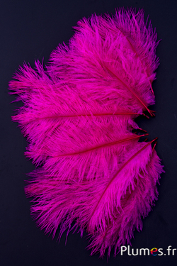 Struzzo barbules - 8-15 cm - rosso